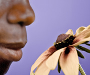 Breathing Problems Symptoms - Breathing Conditions In Women - Breathing Diseases
