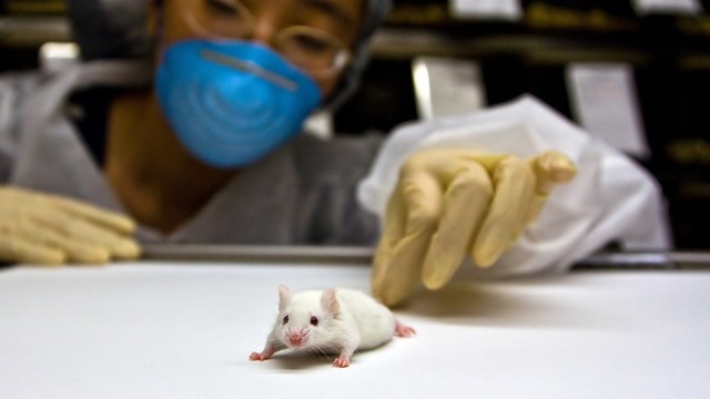5 bizarre claims about cancer