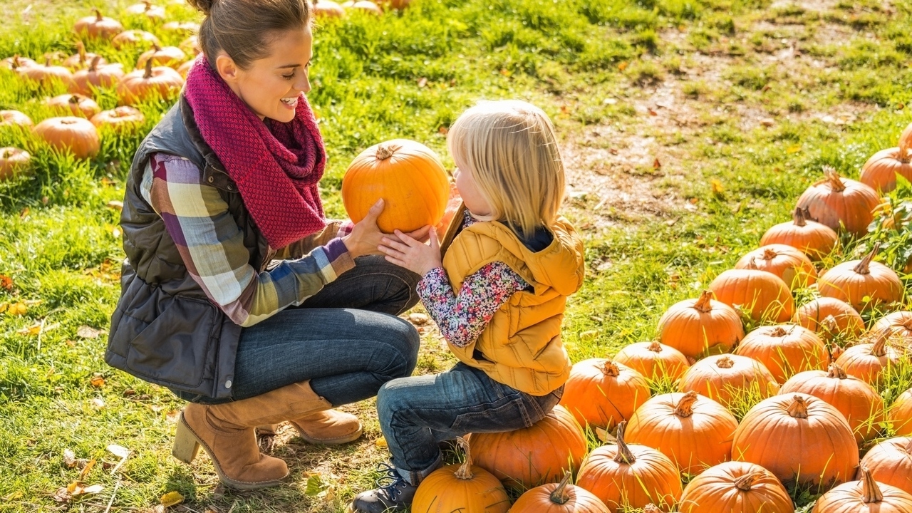 Dr. Felicia Stoler's 10-point Thanksgiving Survival Guide | EmpowHER ...