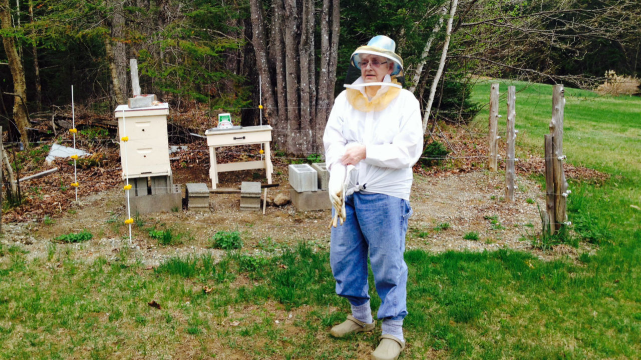 Deltasone Online Usa