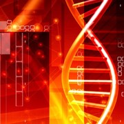 Canavan disease treatment and description