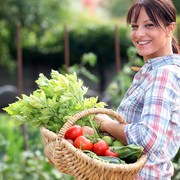 community gardens and urban farms have power to transform