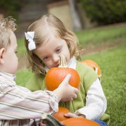 holiday time brings pumpkin pleasures