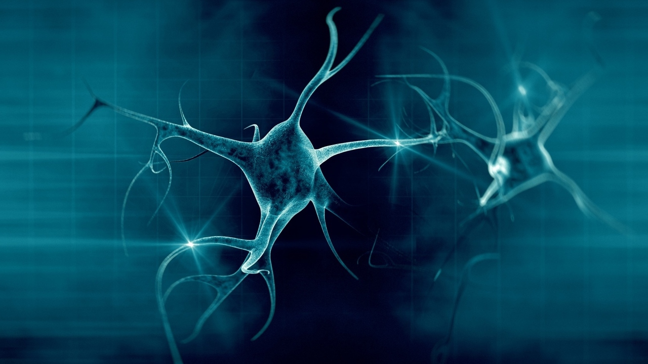 Symptoms, Susceptibility and Support: 10 MS Facts