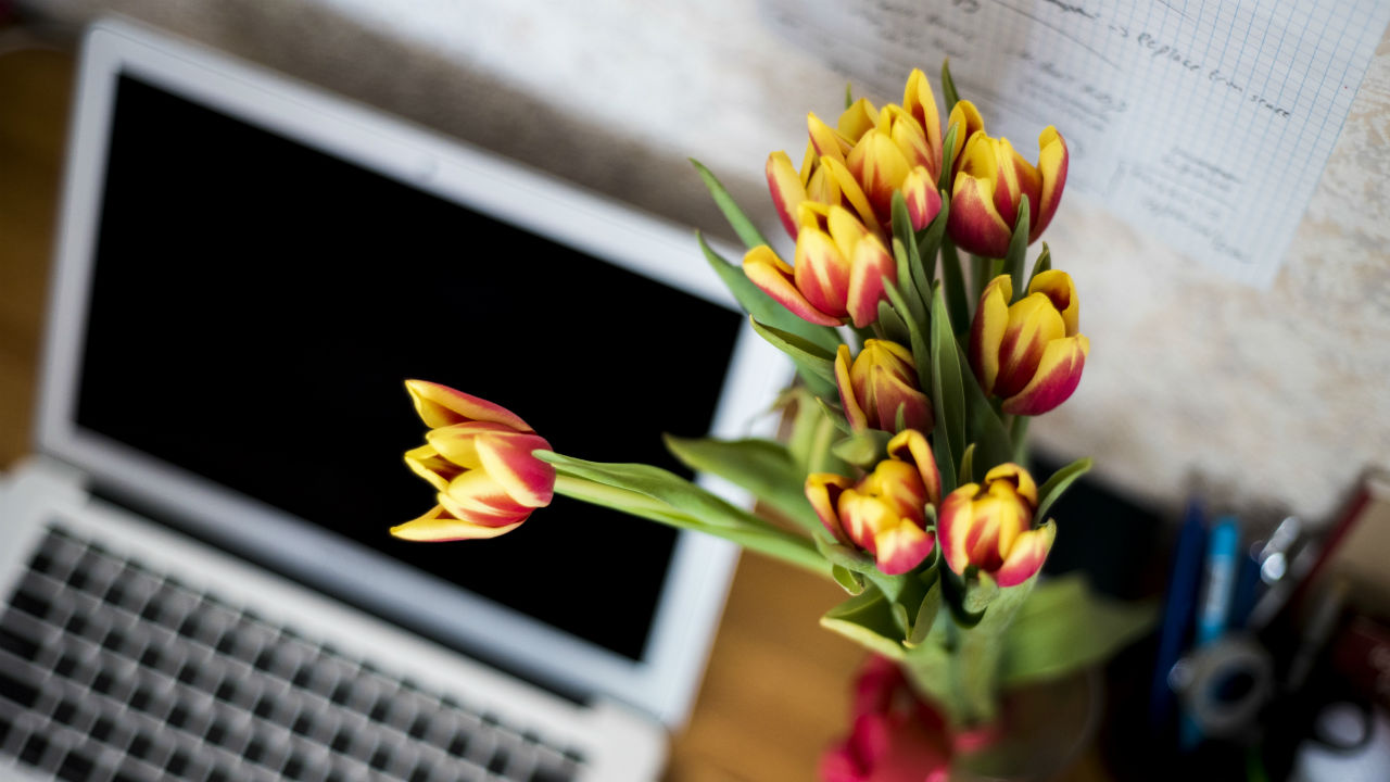 Top Blog Posts