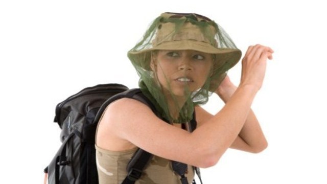 information about west nile virus