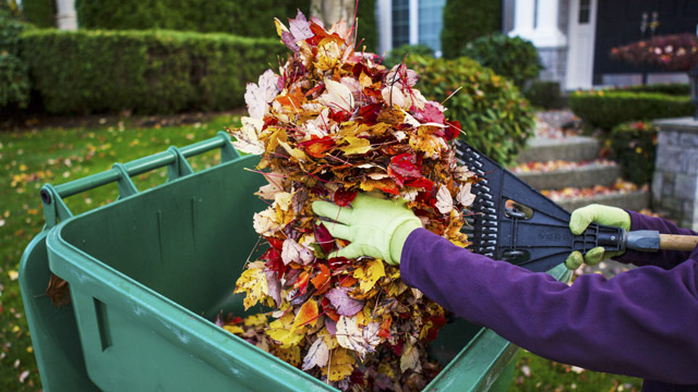 Limit fall allergies by getting a jump on your yard work