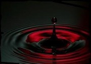 DarkAngelx