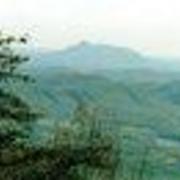 NitaCantrell50