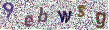 Image CAPTCHA