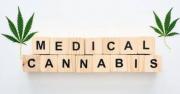 HOW DOES CANNABIS HELP FIGHT FLU AND COLDS?  Logo