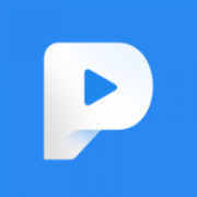 PlayPix Logo