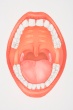 Image: iStockphoto.com
