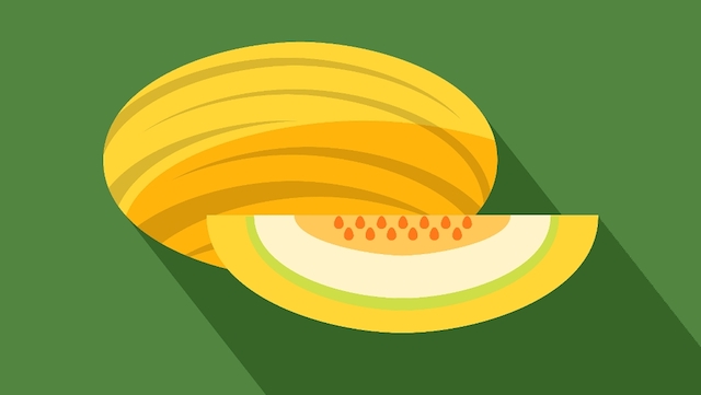 Diet & Nutrition related image