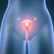 Ovarian Cancer related image