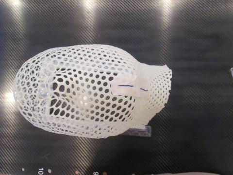 mesh mask