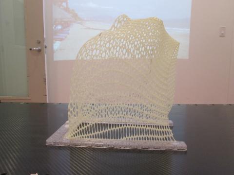 mesh mask