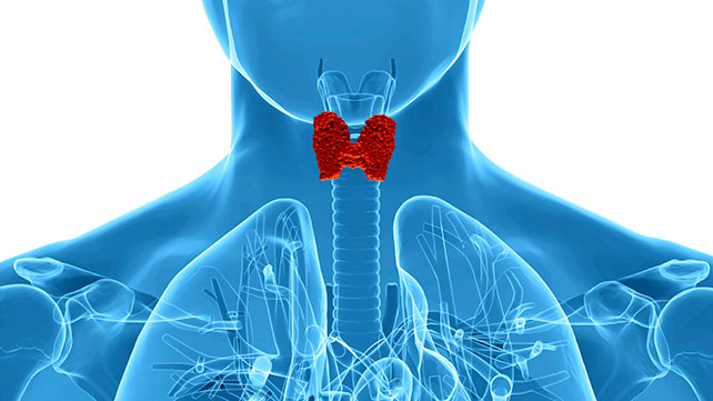 Hypothyroidism related image