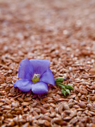 Diet & Nutrition related image