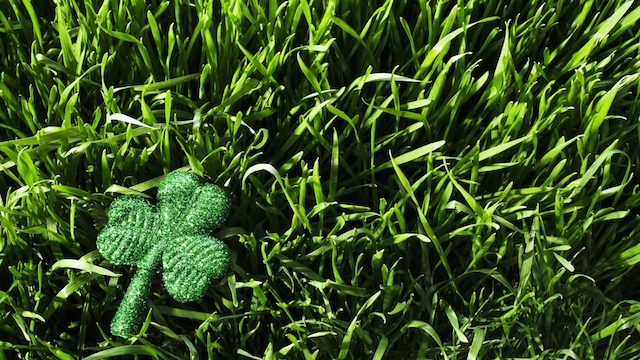 Go Green For St. Patrick's Day
