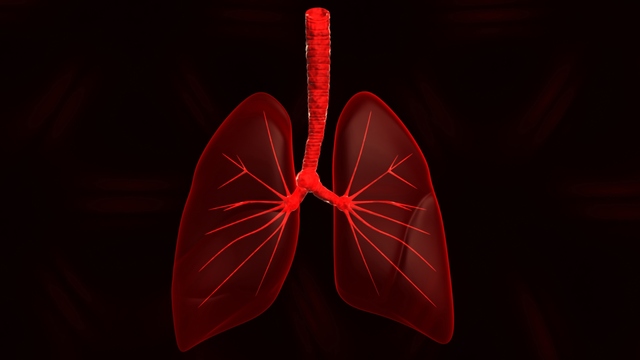 What are COPD's 5 Most Common Symptoms?