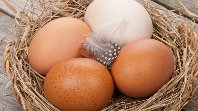 eggs reduce type 2 diabetes risk