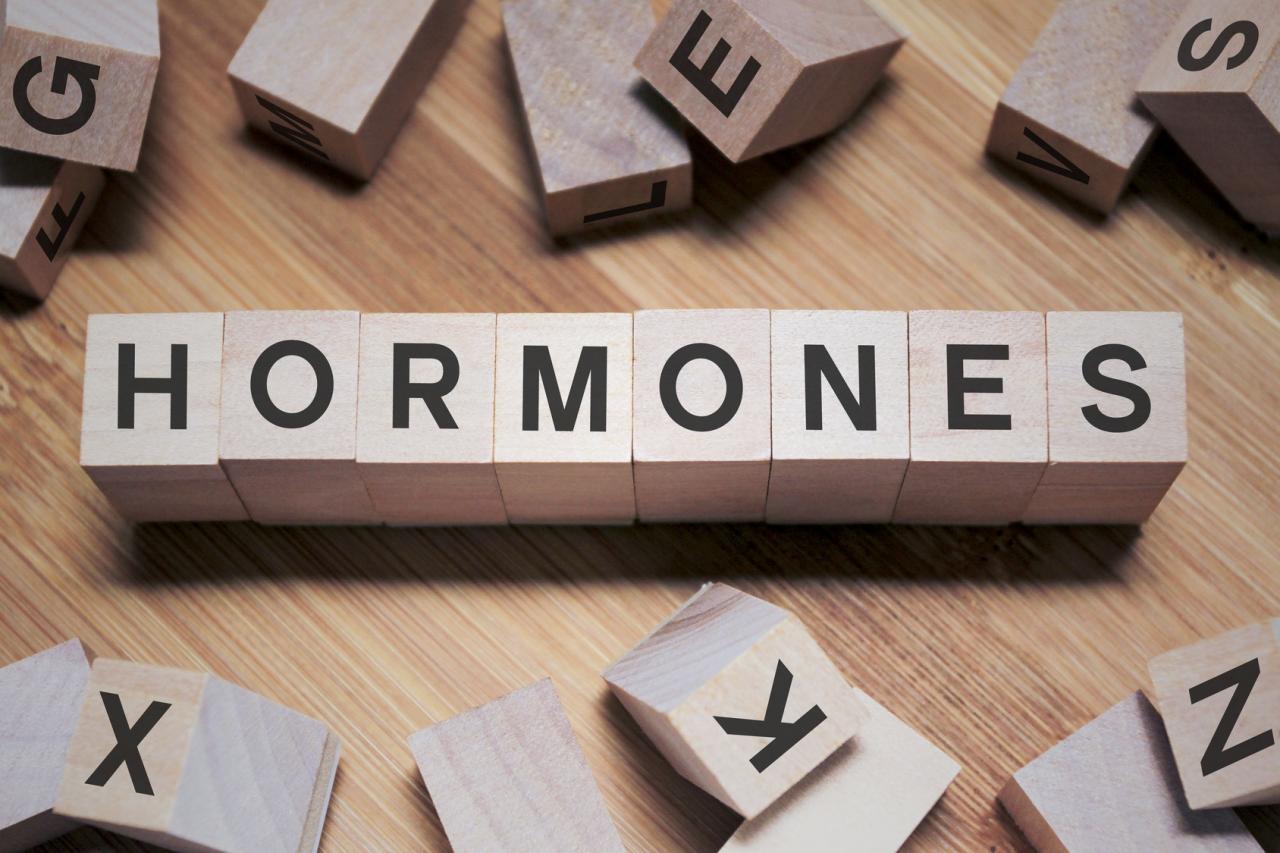 Hormones related image