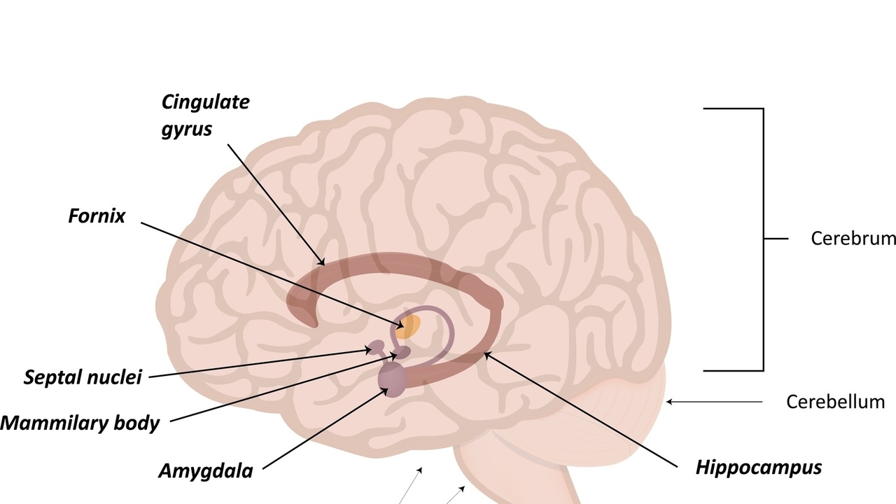 PTSD: How Ordinary Situations Trigger Extraordinary Stress