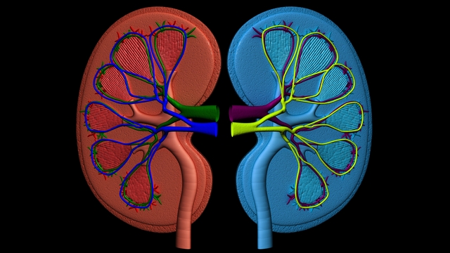 Adrenal Cancer related image