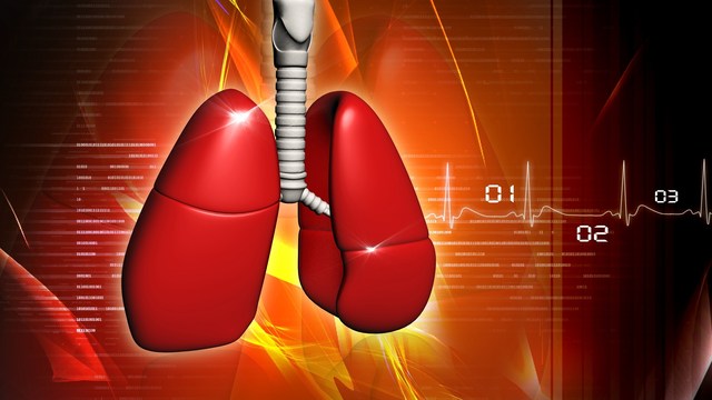 cancer study cautions, antioxidants could be dangerous