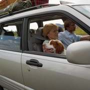 Baby Boomers take furry friends on the road