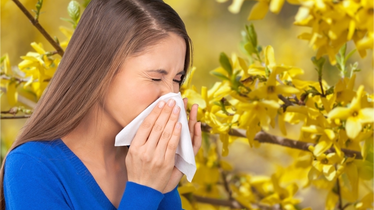 Natural Relief for Seasonal Allergies - Allergies Info and Tips