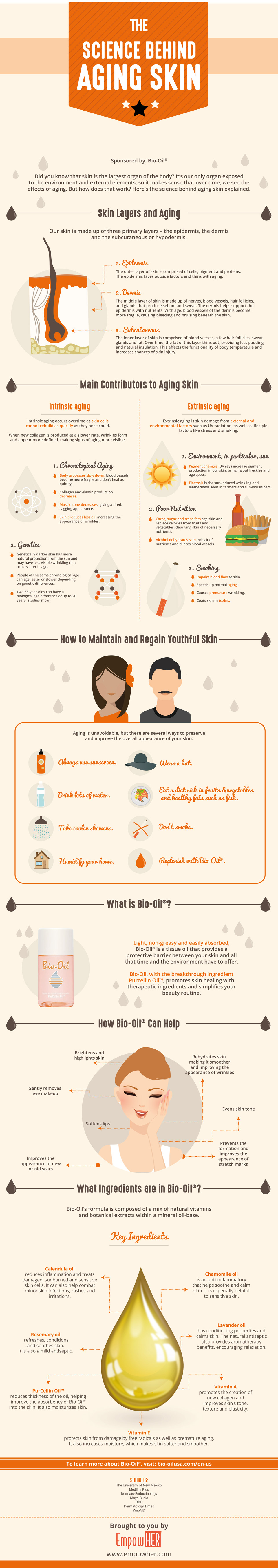 Infographic The Science Behind Aging Skin