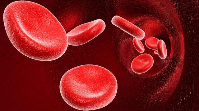 Blood Cancers 'Not a Death Sentence': Creating Hope and Awareness 