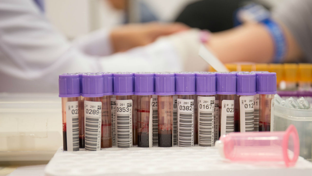 information on the importance of blood tests