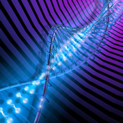 cancer stem cells may be directing the development and regrowth of tumors