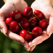 Healthy Eating related image
