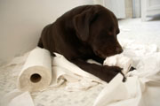 Relationships & Family related image