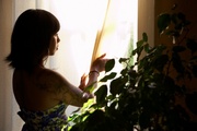 Mood Disorders related image