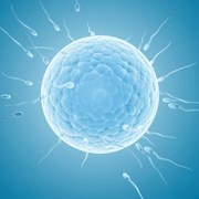 emergency contraceptives are surrounded by controversy