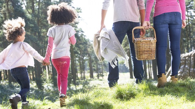  5 essential snacks to love on family vacation