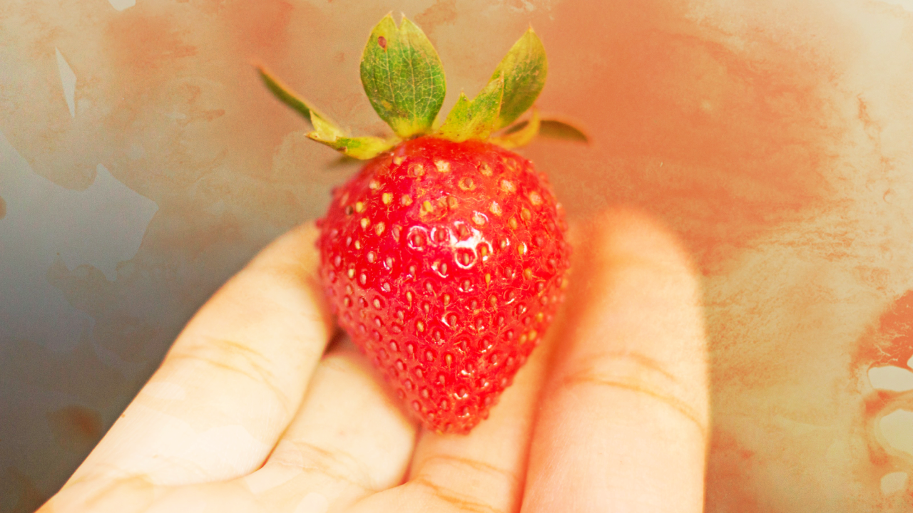 Top 5 Foods That Act Like Medicine For You