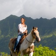 want a ride? get on your high horse