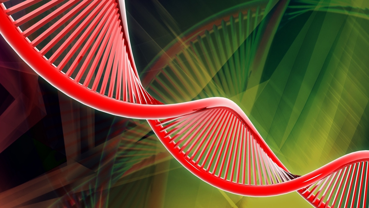 Lower Heart Disease Risk for Women: Good News for DNA Variations