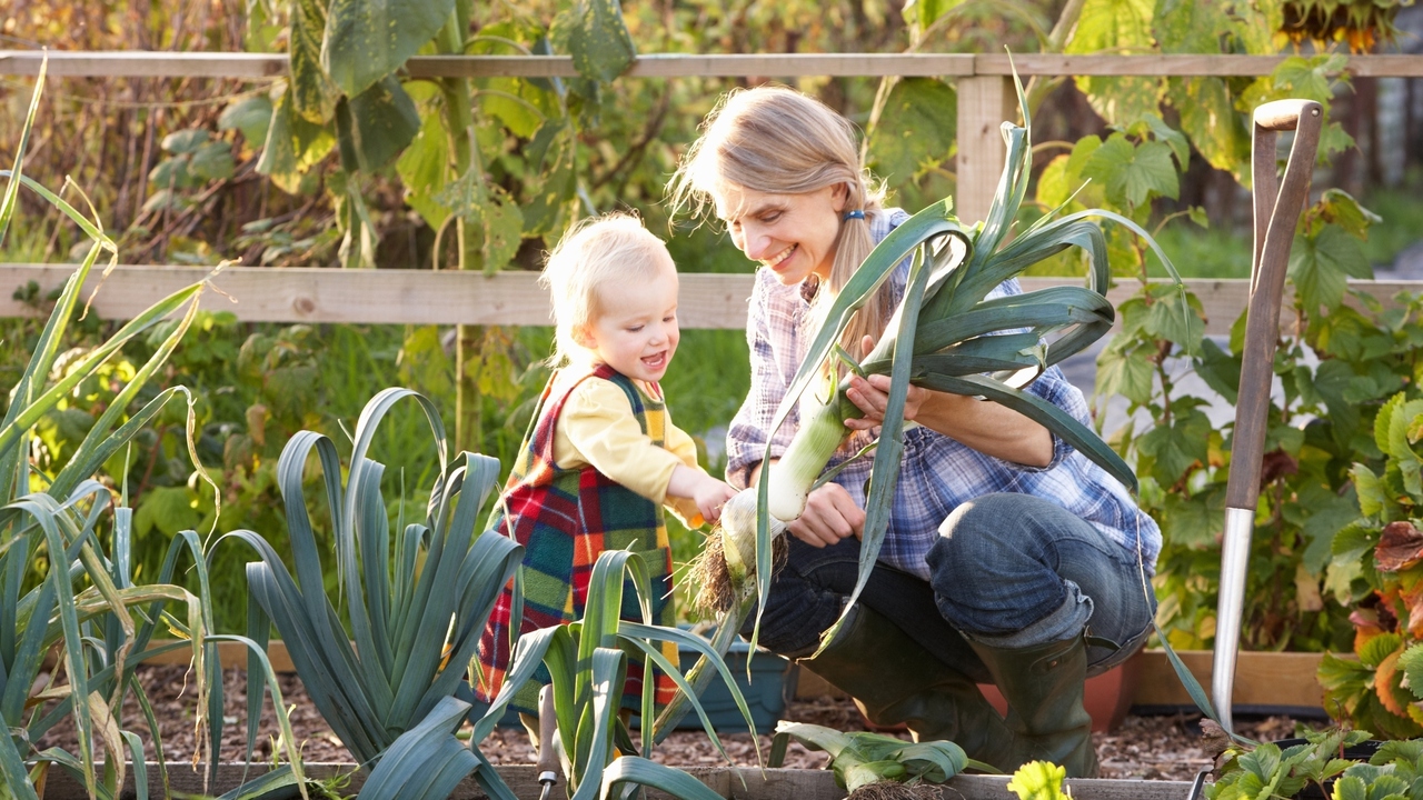 Want to Grow Your Own Food? 7 Reasons Why You Should