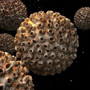 sexual activity in girls is not increased by hpv shot according to study