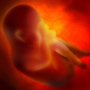beginning of infant vision development happens in the womb