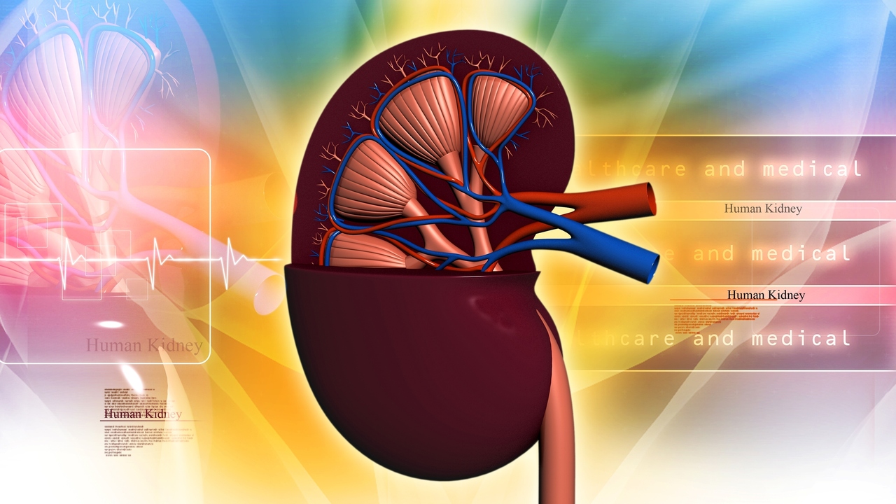 Kidney Dialysis: Cleaning Your Blood When Kidneys Fail