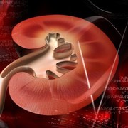 star gets transplant and focuses attention on kidney disease