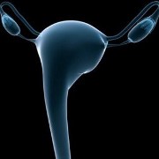 hormone replacement therapy may be linked with ovarian cancer